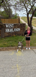 Lost Male Dog last seen Admiral and yale at qt, Tulsa, OK 74108
