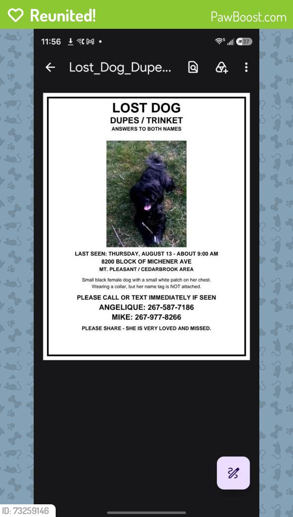 Reunited Male Dog last seen Near Michener Avenue, Philadelphia, PA 19150