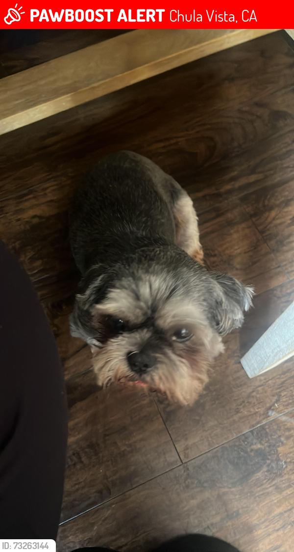 Lost Male Dog last seen East palomar, Chula Vista, CA 91913