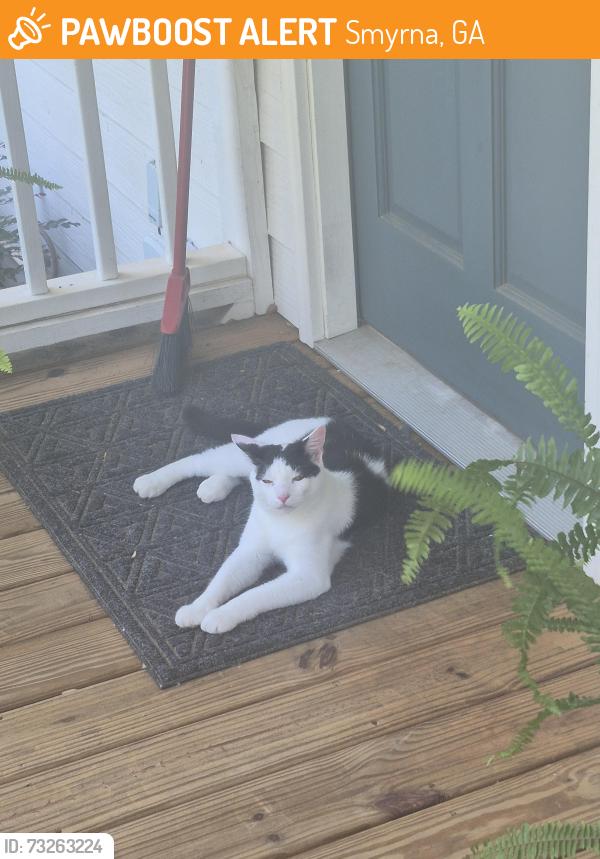 Found/Stray Unknown Cat last seen Burger Park, Smyrna, GA 30080