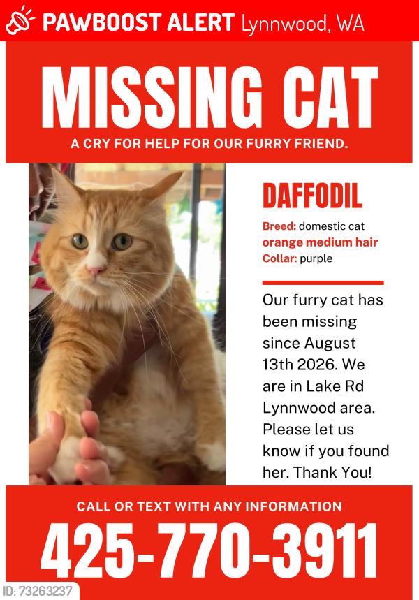 Lost Female Cat last seen Lake rd, Serene Lake, Shelby, Lynnwood, WA 98087