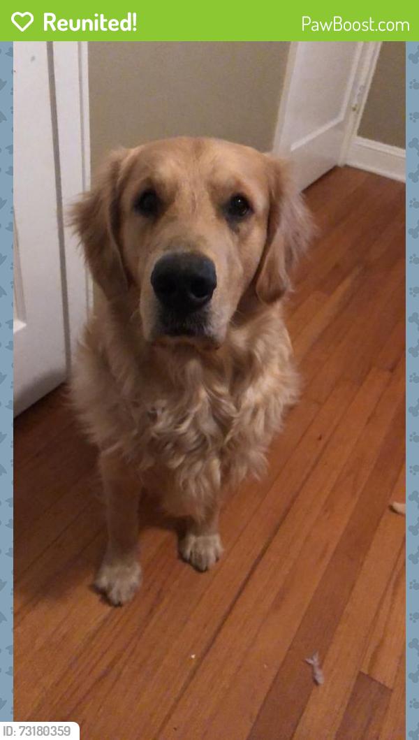 Reunited Male Dog last seen Near Nonaville Rd, Mt. Juliet, TN 37122