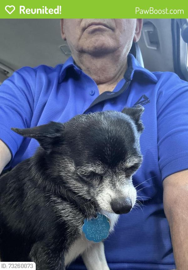 Reunited Male Dog last seen Main Street and park ave, Worcester, MA 01603