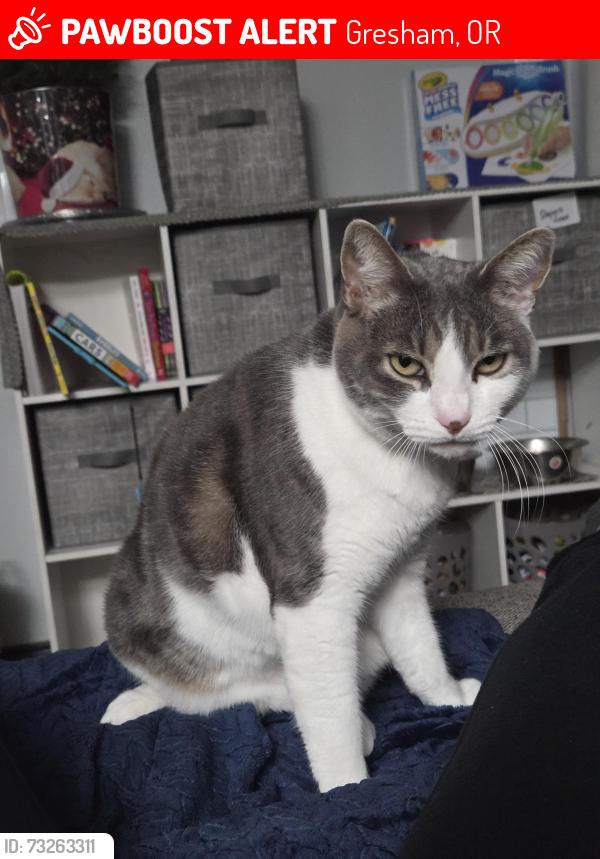 Lost Female Cat last seen Salquist rd., Gresham, OR 97080