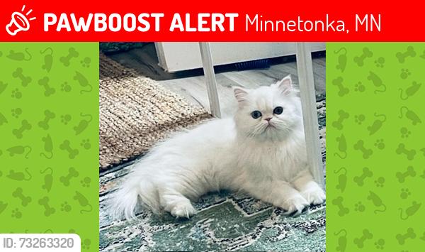 Lost Female Cat last seen Near Greenbrier Rd Minnetonka, Minnetonka, MN 55305