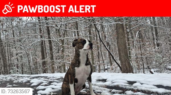 Lost Male Dog last seen Near fullerton cc, Spotsylvania County, VA 22408