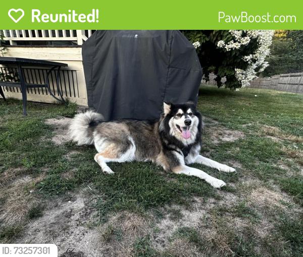 Reunited Female Dog last seen Green belt, South Portland, ME 04106