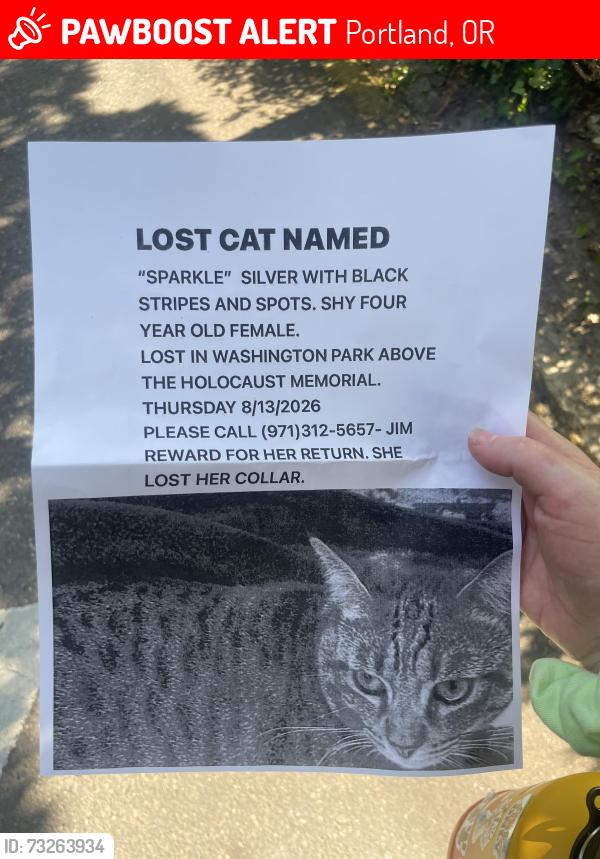Lost Female Cat last seen Holocaust memorial, Portland, OR 97205