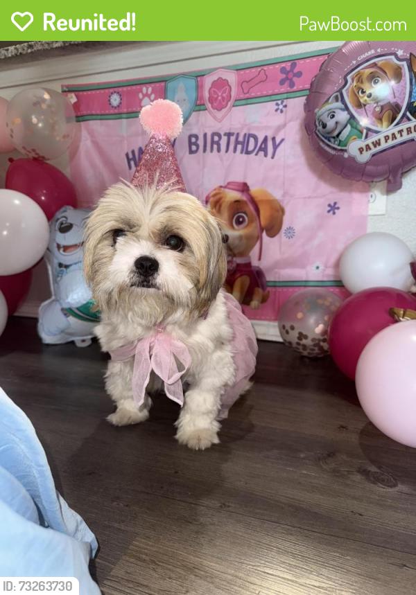 Reunited Female Dog last seen Near E Corporate Dr, Lewisville, TX 75067