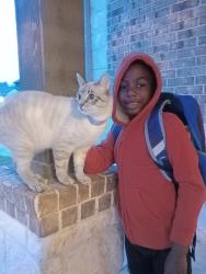Reunited Male Cat last seen Indian Clearing, Forest Village area, Spring, TX 77386