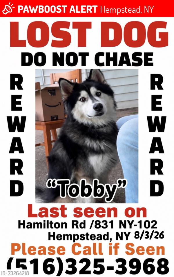 Lost Male Dog last seen Hamilton Rd /831 NY-102 Hempstead,, Hempstead, NY 11550