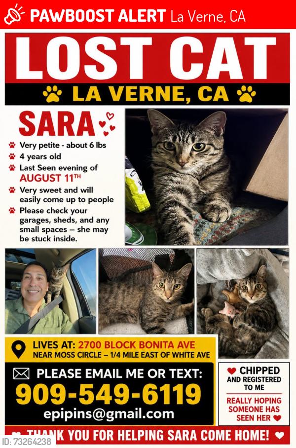 Lost Female Cat last seen Bonita Ave - Moss Circle, La Verne, CA 91750