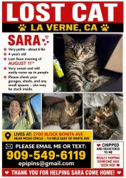 Lost Female Cat last seen Bonita Ave - Moss Circle, La Verne, CA 91750