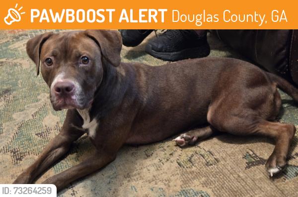 Found/Stray Female Dog last seen Banks Mill Rd and Dukes Rd, Douglas County, GA 30135