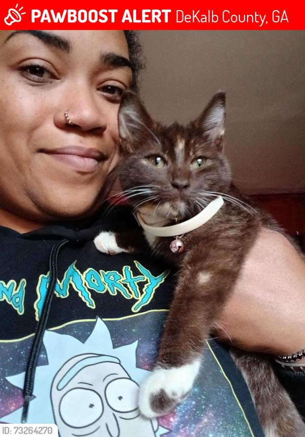 Lost Female Cat last seen Redan rd and stone mountain Lithonia, DeKalb County, GA 30058