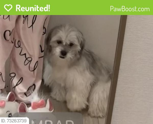 Reunited Male Dog last seen Near E Corporate Dr, Lewisville, TX 75067