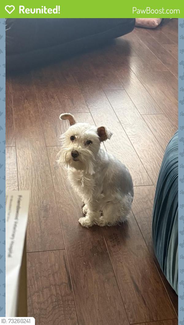 Reunited Female Dog last seen Heritage Park Pointe, Friendswood, TX 77546