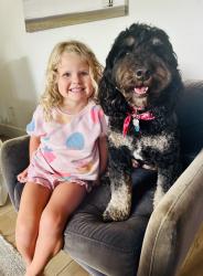 Lost Female Dog last seen 11th & Stratford; Del Mar, Del Mar, CA 92014