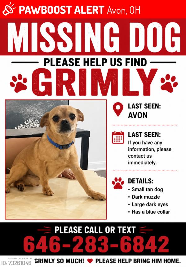 Lost Male Dog last seen Ford Dealership, Avon, OH 44011