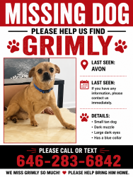 Lost Male Dog last seen Ford Dealership, Avon, OH 44011
