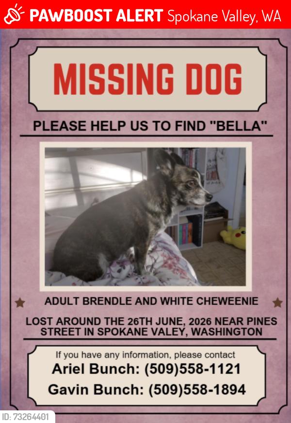 Lost Female Dog last seen North pines road, Spokane Valley, WA 99206
