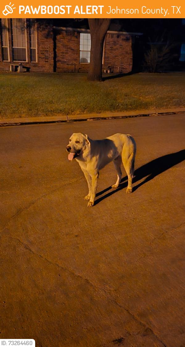 Found/Stray Male Dog last seen Browning st, Johnson County, TX 76036