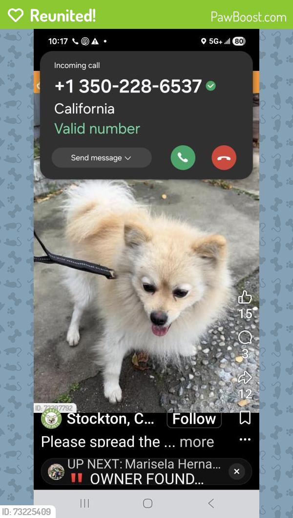 Reunited Male Dog last seen Camanche Ln/ holiday dr., Stockton, CA 95207