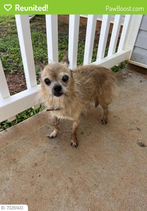 Reunited Unknown Dog last seen Near Governor lane, Temple GA, Temple, GA 30179