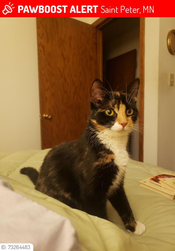 Lost Female Cat last seen Minnesota Ave and Swift, St. Peter Minnesota, Saint Peter, MN 56082