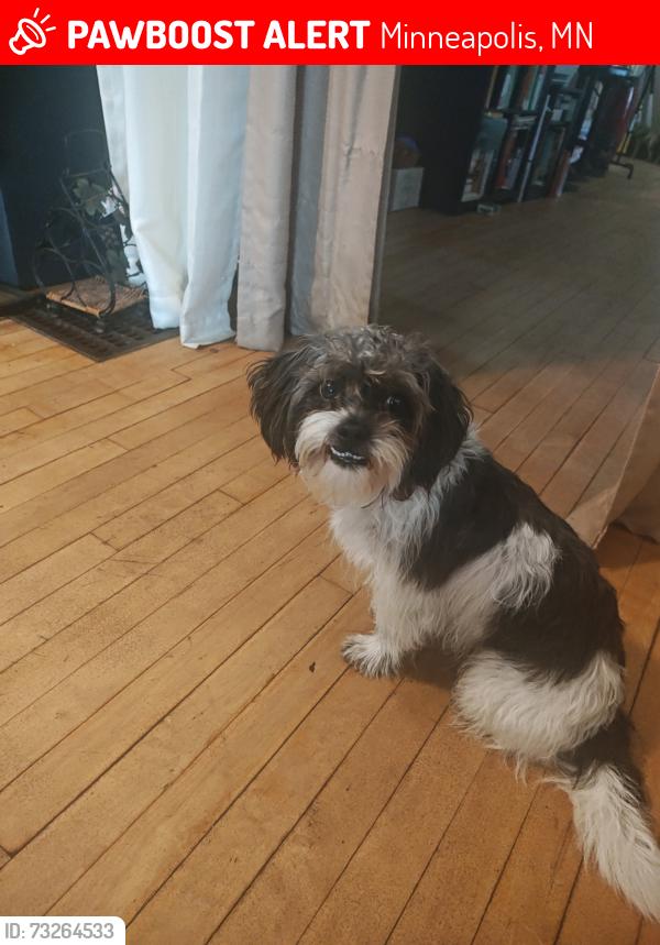 Found/Stray Male Dog last seen 700-706 Spring St NE, Minneapolis, MN 55413