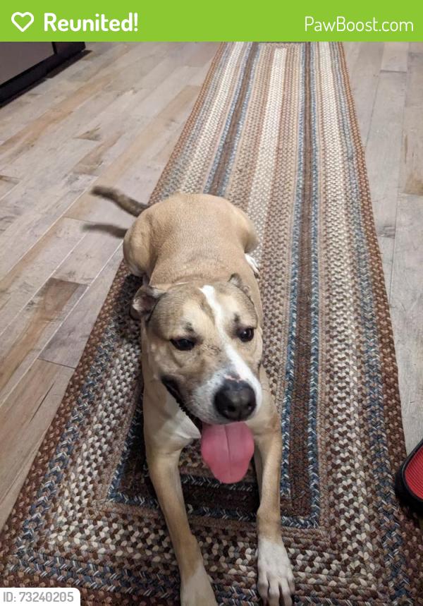 Reunited Male Dog last seen Lost on Brushy Hill road near Tarrywile Park, Danbury, CT 06810