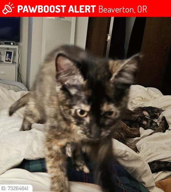 Lost Female Cat last seen Bridgeway ln and tanasbrook, Beaverton, OR 97006