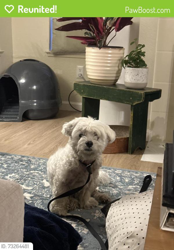 Reunited Male Dog last seen On the corner of Baffin and Edgewater near Schooner Bay apmts, Foster City, CA 94404