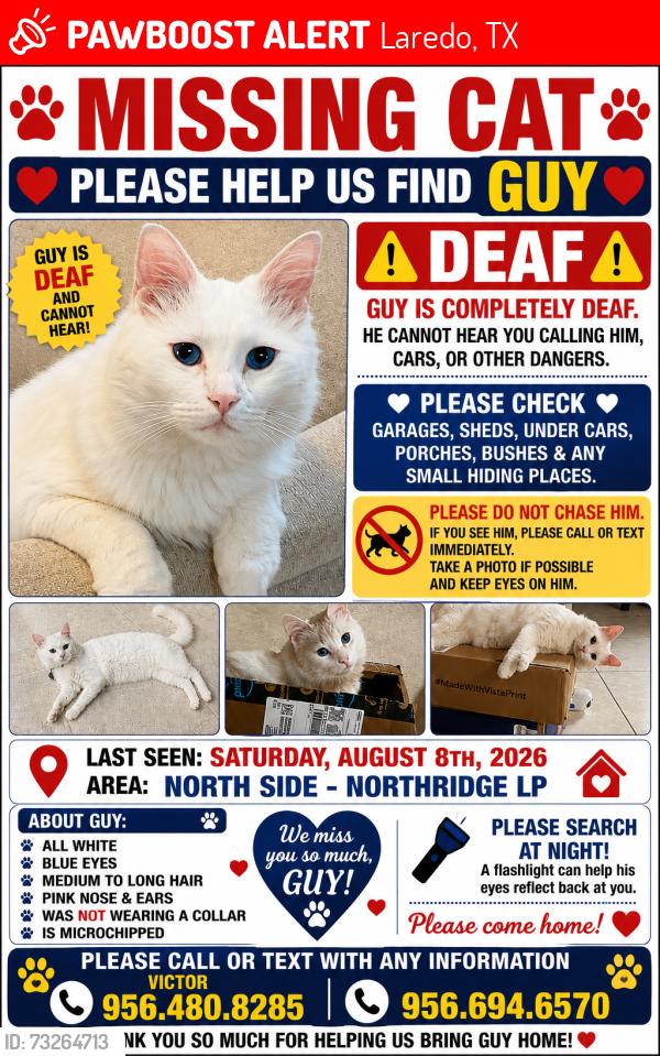 Lost Male Cat last seen Northridge and International, Laredo, TX 78045