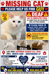 Lost Male Cat last seen Northridge and International, Laredo, TX 78045