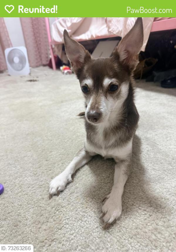 Reunited Male Dog last seen Buchert Rd, Sanatoga, PA 19464