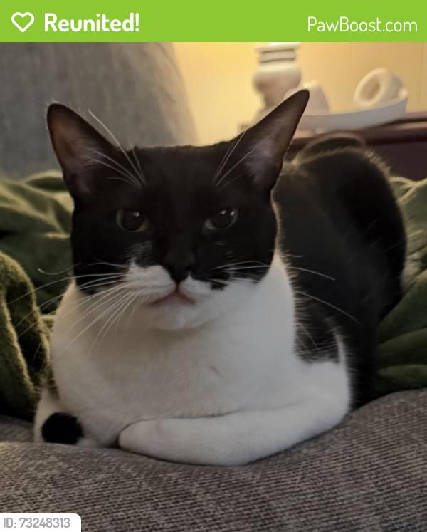 Reunited Female Cat last seen Ivie Lee & Hartt, Baytown, TX 77520