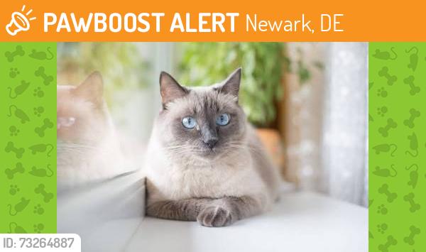 Found/Stray Unknown Cat last seen Meadowood development, Newark, DE 19711