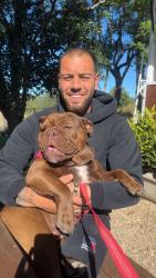 Lost Female Dog last seen Werombi, Werombi, NSW 2570