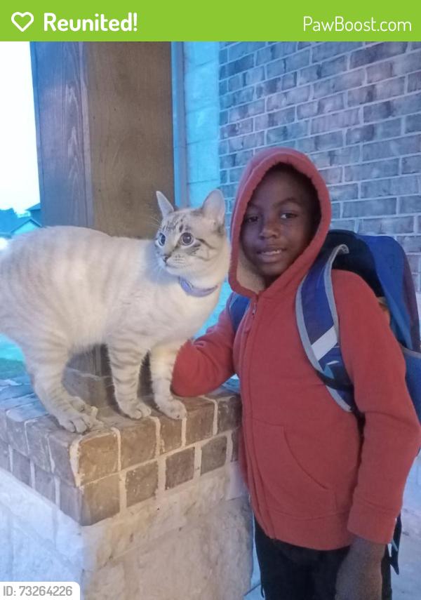 Reunited Male Cat last seen Indian Clearing, Forest Village area, Spring, TX 77386