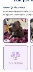 Lost Male Dog last seen Indio, Indio, CA 92201