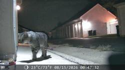 Found/Stray Unknown Cat last seen Harris Teeter Olympia and Ryan Road, Ashburn, VA 20148