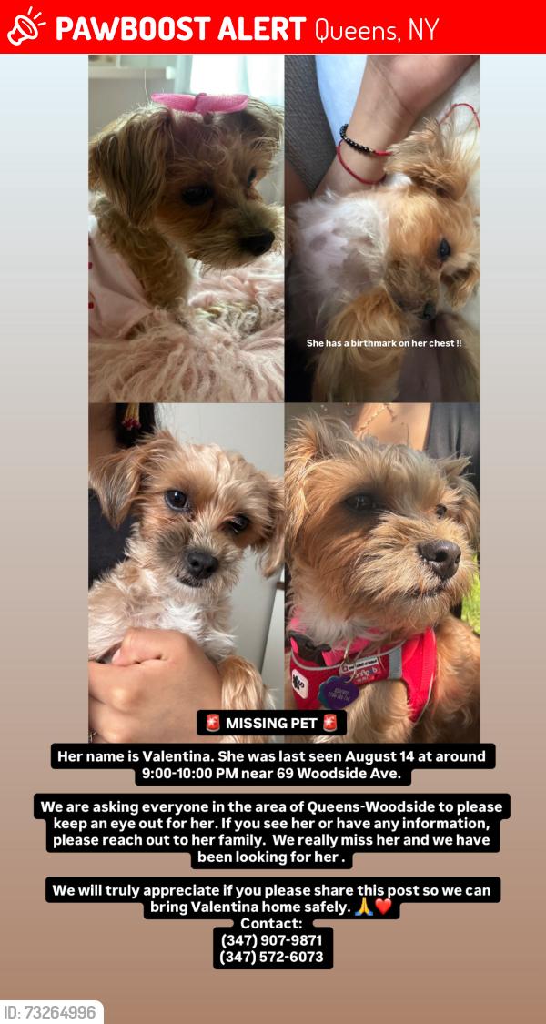 Lost Female Dog last seen Near st Woodside Ave Queens Ny11377, Queens, NY 11377
