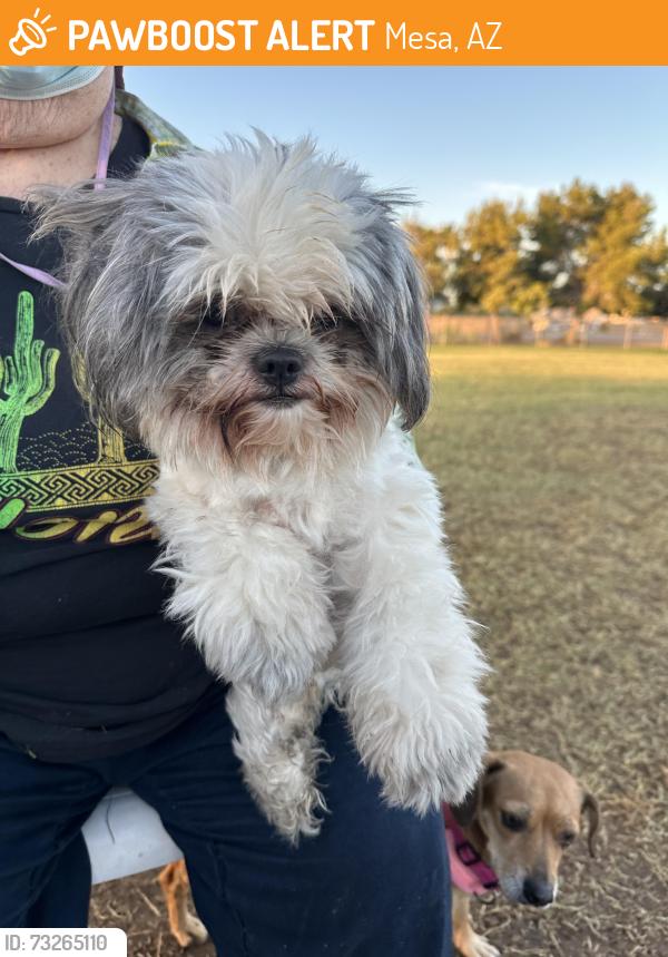 Found/Stray Male Dog last seen Countryside Dog Park, Mesa, AZ 85201