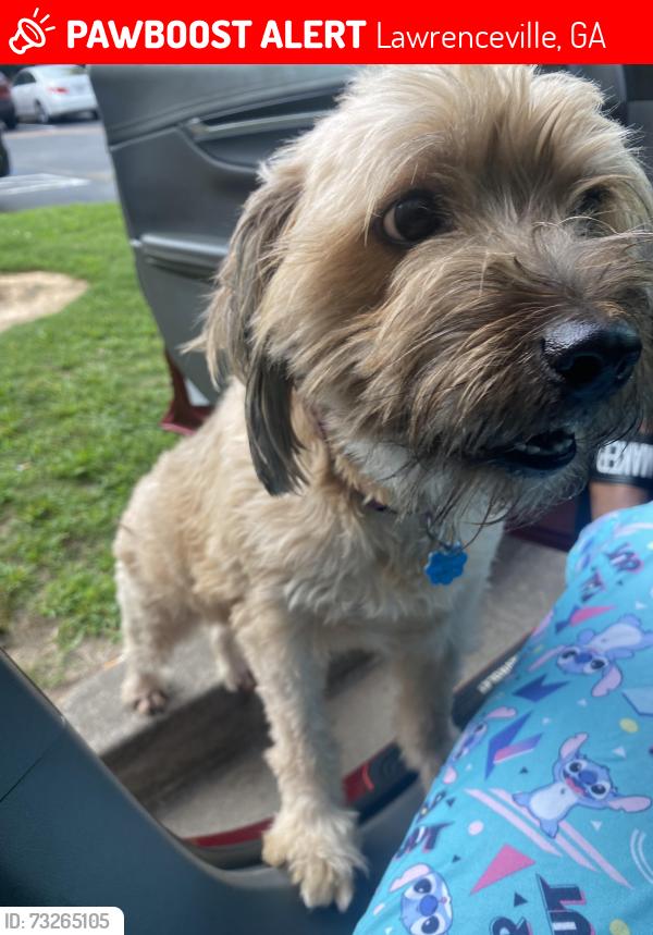 Lost Female Dog last seen Discovery High School, Lawrenceville, GA 30045