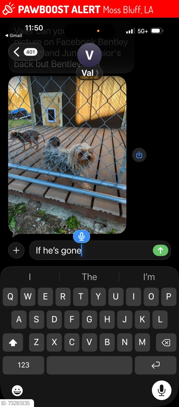 Lost Male Dog last seen Sam Houston Jones and Armistead, Moss Bluff, LA 70611