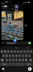 Lost Male Dog last seen Sam Houston Jones and Armistead, Moss Bluff, LA 70611