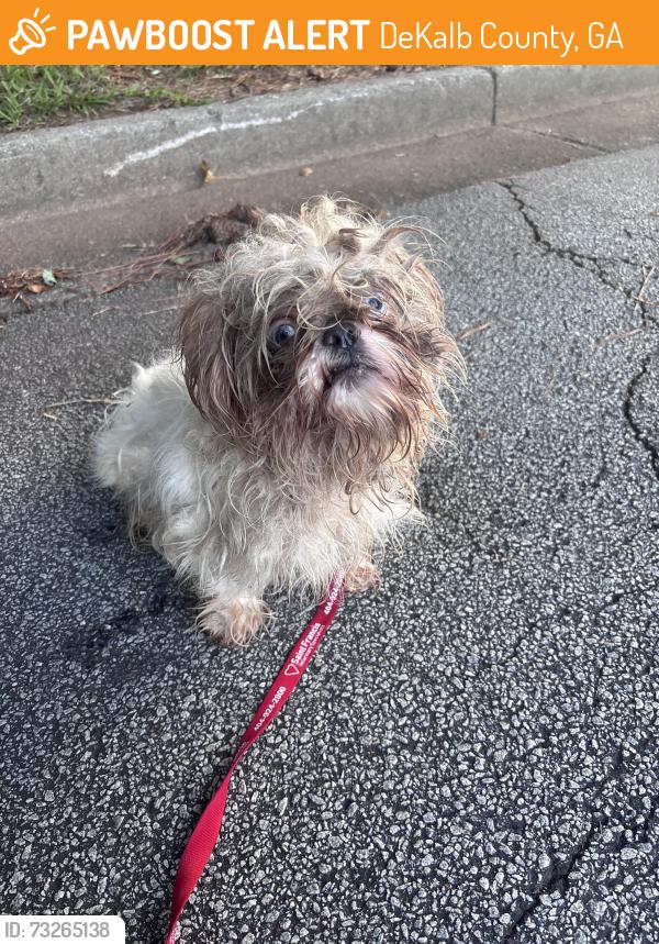 Found/Stray Unknown Dog last seen Rowland rd, DeKalb County, GA 30083