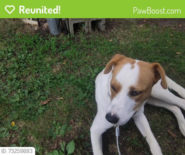 Reunited Female Dog last seen Oakland Drive, Milford, NH 03055