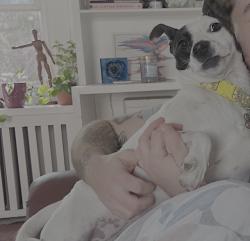 Reunited Female Dog last seen Clearbrook Ave & Greenhill Rd, Upper Darby Township, PA 19050